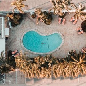 una vista aérea de una piscina y palmeras en The Pillars Hotel & Club en Fort Lauderdale
