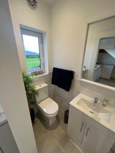 a bathroom with a toilet and a sink and a mirror at Country Hideaway in Milltown