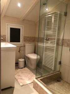 La salle de bains est pourvue de toilettes et d'une douche en verre. dans l'établissement Eretria’s Villa, à Eretria