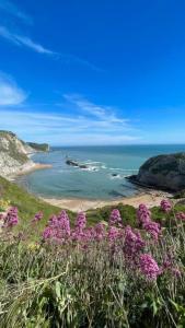 a view of a beach with purple flowers on a hill at Emma's Oasis 4-bedroom caravan at Durdle Door in West Lulworth
