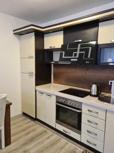 Kuchyň nebo kuchyňský kout v ubytování Fush Kosov Apartment Center