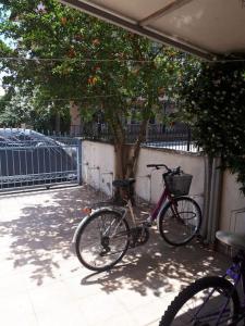 una bicicletta parcheggiata accanto a un albero accanto a una recinzione di Shadow of Olympus a Olympiakí Aktí