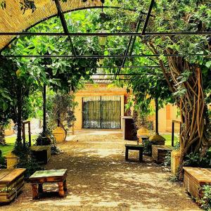a courtyard with benches and trees in a building at rincones con encanto 