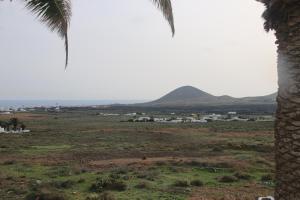 Príroda v okolí vily
