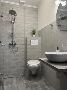 a bathroom with a toilet and a sink and a shower at Piscul Muntelui in Moieciu de Sus