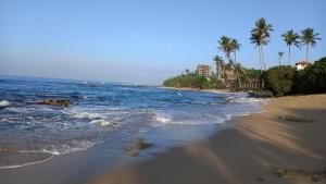 uma praia arenosa com palmeiras e o oceano em Asanka Beach Stay em Mirissa