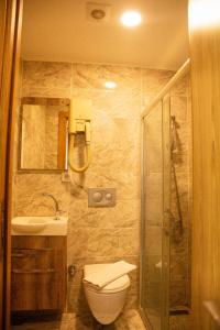 a bathroom with a shower and a toilet and a sink at Şirin Hotel in Istanbul