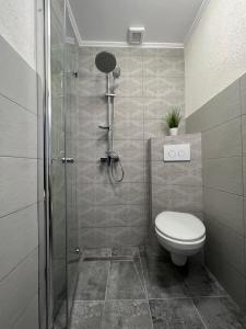 a bathroom with a shower and a toilet at Piscul Muntelui in Moieciu de Sus