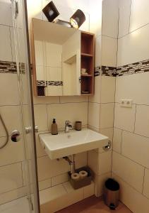 a bathroom with a sink and a mirror at Elegante Einzimmerwohnung in Flensburg