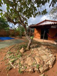 戈亚斯州上帕莱索Cantinho da Lobeira的建筑物旁院子中的一棵树 更多18张照片