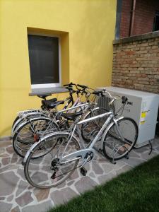 Jízda na kole v ubytování B&B La Casa Gialla nebo okolí
