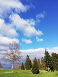 un árbol en un campo con un cielo nublado en Ferienwohnung Isis in Neufang en Sonneberg