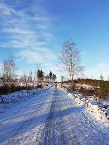 una carretera cubierta de nieve con un árbol en el medio en Ferienwohnung Isis in Neufang en Sonneberg