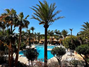 松霍里吉爾的住宿－Casa Pueblo Menorquín 49，棕榈树旁的棕榈树,棕榈树环绕着游泳池