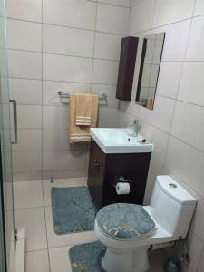 a bathroom with a toilet and a sink at Classy and cosy Apt - Dainfern in Fourways
