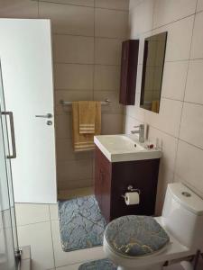 a small bathroom with a toilet and a sink at Classy and cosy Apt - Dainfern in Fourways