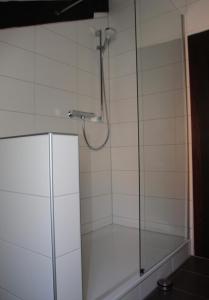 una doccia con porta in vetro in bagno di Goldener Anker Pottenstein Urlaub für die ganze Familie a Pottenstein