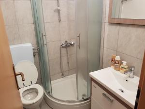 a bathroom with a shower and a toilet and a sink at ReginaMare Santa in Piran