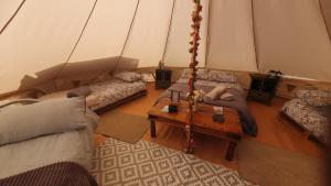 Calon Y Goedwig Glamping的休息区