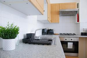 Kent的住宿－Central Dover Apartment 1，厨房设有水槽上的碗碟干燥架