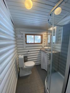 a small bathroom with a toilet and a sink at Bastöstugby stuga 17 in Pålsböle
