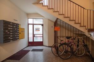 Montar en bicicleta en Im Herzen von Wien o alrededores