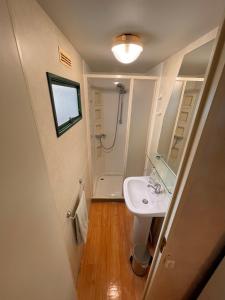 mała łazienka z umywalką i prysznicem w obiekcie Bella Vita 43 - Porlezza w mieście Porlezza