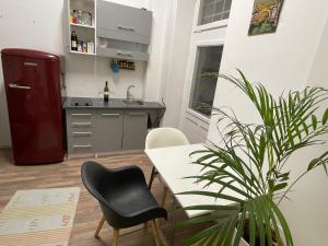 a kitchen with a refrigerator and a table and a plant at Brasilia apartment in Ljubljana