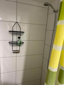 a bathroom with a shower with a green and yellow curtain at Brasilia apartment in Ljubljana