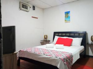 1 dormitorio con 1 cama con almohada roja y TV en Casa CamiMar, Casa Amoblada solo para tí y tú familia, en Santa Marta