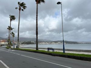 eine Straße mit Palmen am Straßenrand in der Unterkunft Arenales 8 in Pobra do Caramiñal