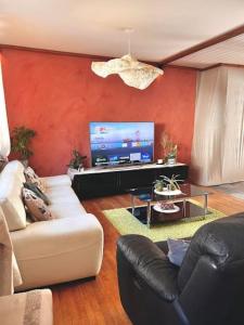 ein Wohnzimmer mit einem Sofa und einem Flachbild-TV in der Unterkunft Le Passage du Faubourg, agréable T3 en duplex de 120m2 in Saint-Léonard-de-Noblat