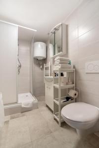 La salle de bains blanche est pourvue de toilettes et d'un lavabo. dans l'établissement Klein, aber fein in zentraler Ruhelage, à Vienne