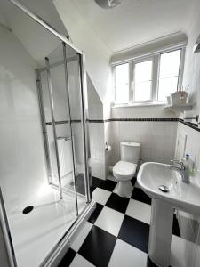a bathroom with a shower and a toilet and a sink at Beautiful cottage in March/Cambridgeshire in March