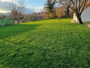 un gran campo de hierba verde con un árbol. en Villa MirIva, en Katuni