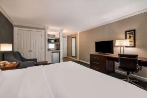 Comfort Inn & Suites Plattsburgh - Morrisonville的电视和/或娱乐中心