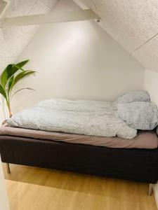 a bed with two pillows on it in a room at Lejlighed i naturskønt område in Silkeborg