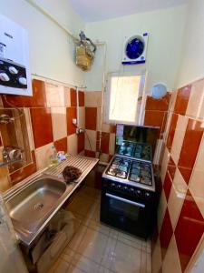 una pequeña cocina con fogones y fregadero en The Home, en El Fayum