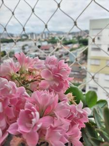 a bunch of pink flowers in front of a fence at HO1016 in Porto Alegre