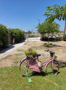 a pink bike is parked in the grass at Calma Kourouta Apartments in Kourouta