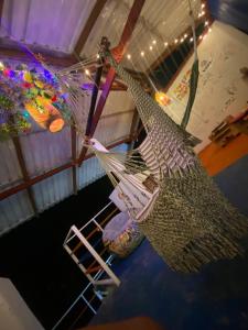 Fotografie z fotogalerie ubytování Acuarios Hostal v destinaci Playa Ladrilleros