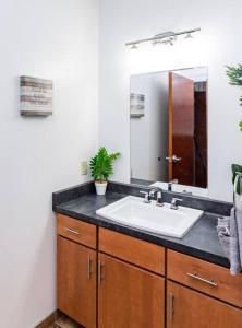 een badkamer met een wastafel en een spiegel bij NY Style Centric Loft w/ KingBed in Rochester