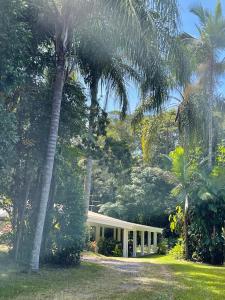 a house with palm trees in front of it at Botanica House Kuranda in Kuranda