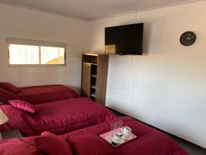 um quarto com duas camas e um sofá e uma televisão em Apart del Este Loft 6 em Paysandú