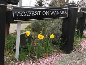 Kép Tempest on Wanaka szállásáról Wanakában a galériában