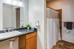 a bathroom with a sink and a shower at NY Style Centric Loft with King Bed by Park av in Rochester