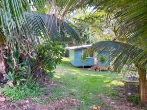 un patio con una casa y una palmera en Gingerhill Farm Retreat, en Kealakekua