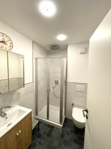 a bathroom with a shower and a toilet and a sink at LYMA Suites - Studio S25 in Immenstadt im Allgäu