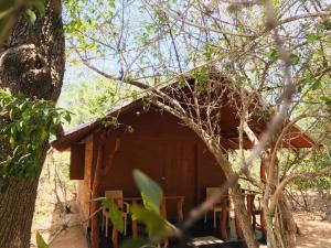 Zahrada ubytování Rivosen Camp Yala Safari