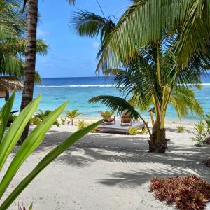 uma praia com palmeiras e o oceano em Serenity Villas Rarotonga em Rarotonga